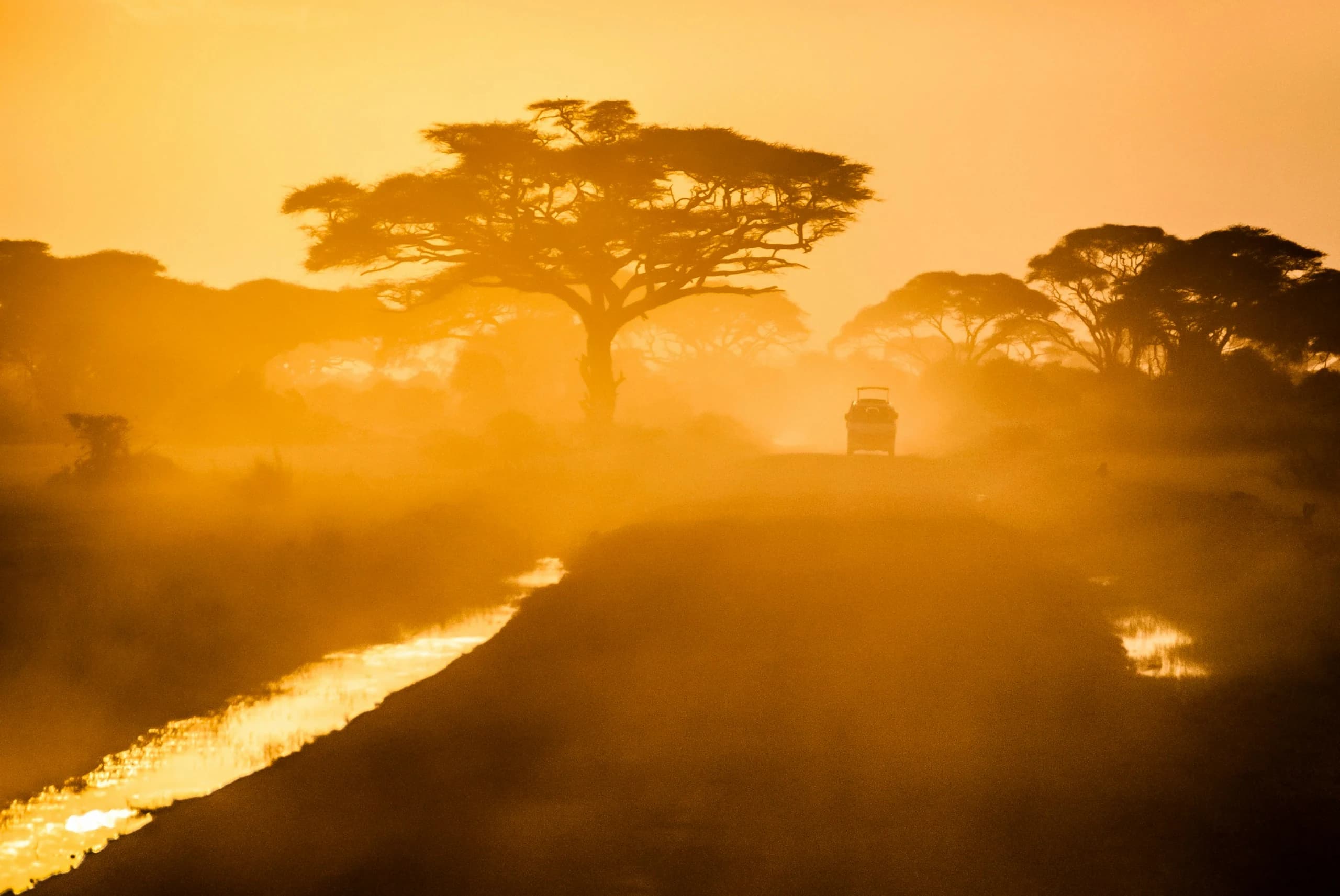A safari vehicle on a sunlit road through Amboseli