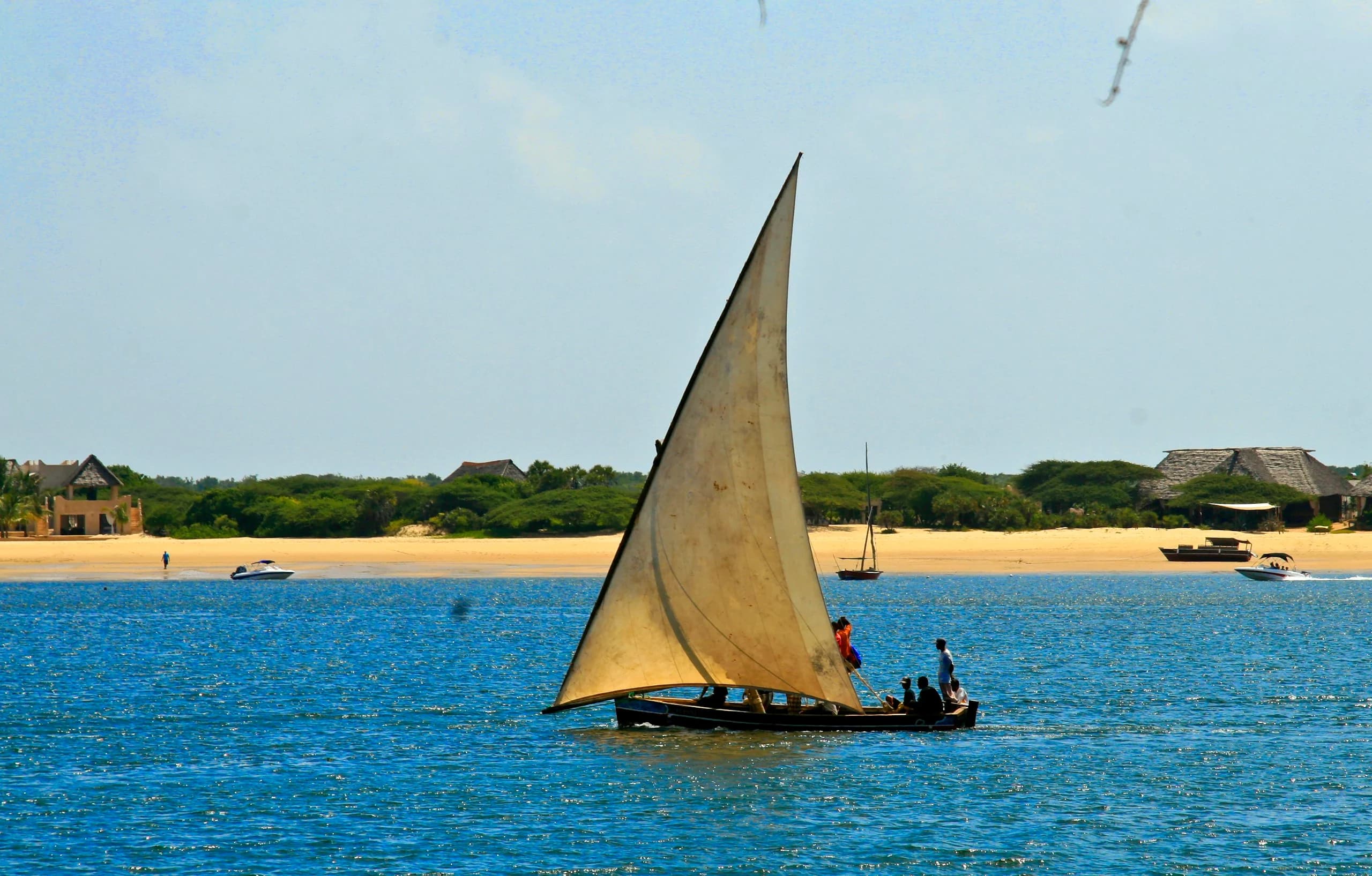 A traditional dhow sailing off Lamu in Kenya