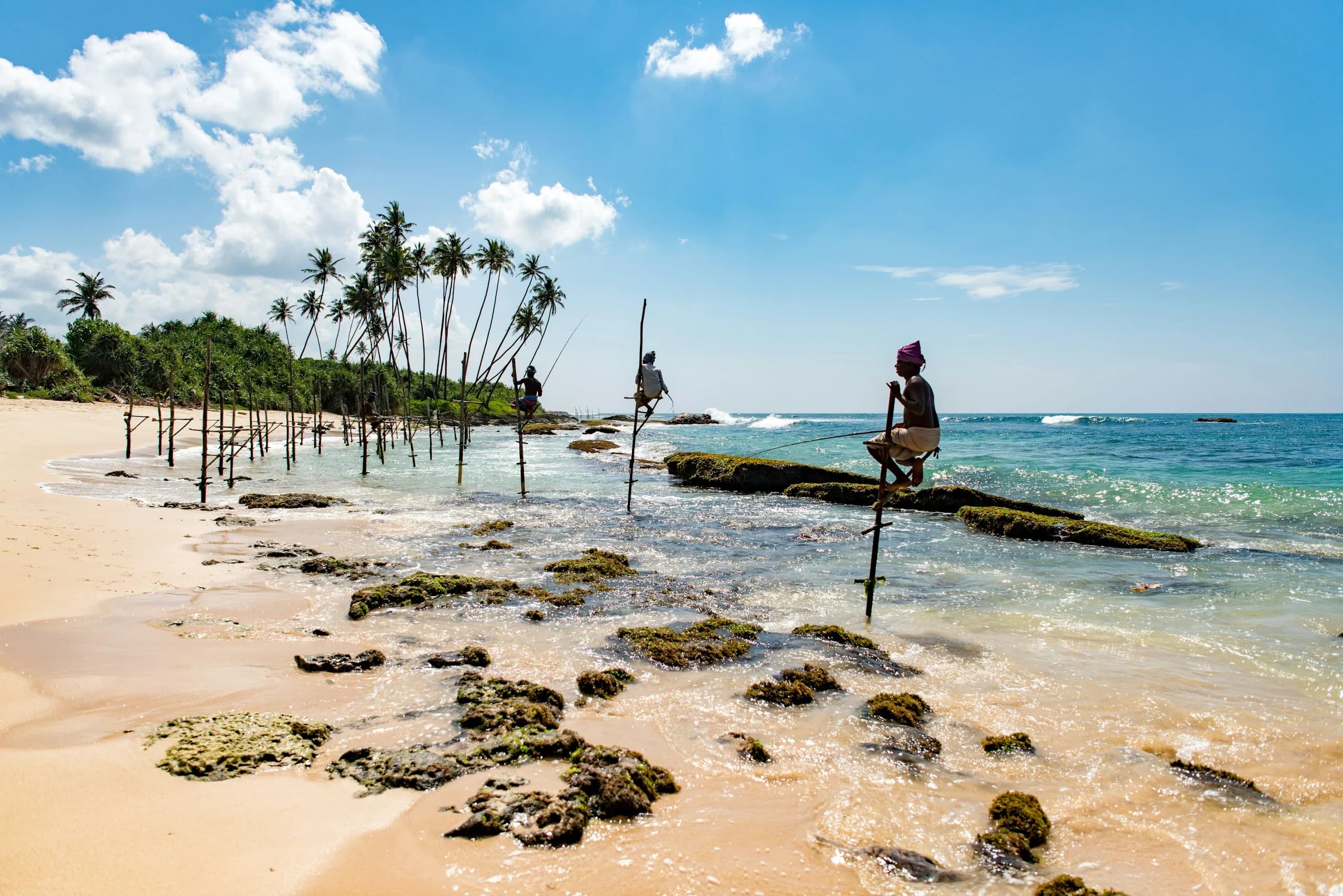 Stilt fishermen above the clear coastal waters of Sri Lanka