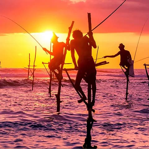 Sri Lankan stilt fishermen silhouetted against an orange sunset