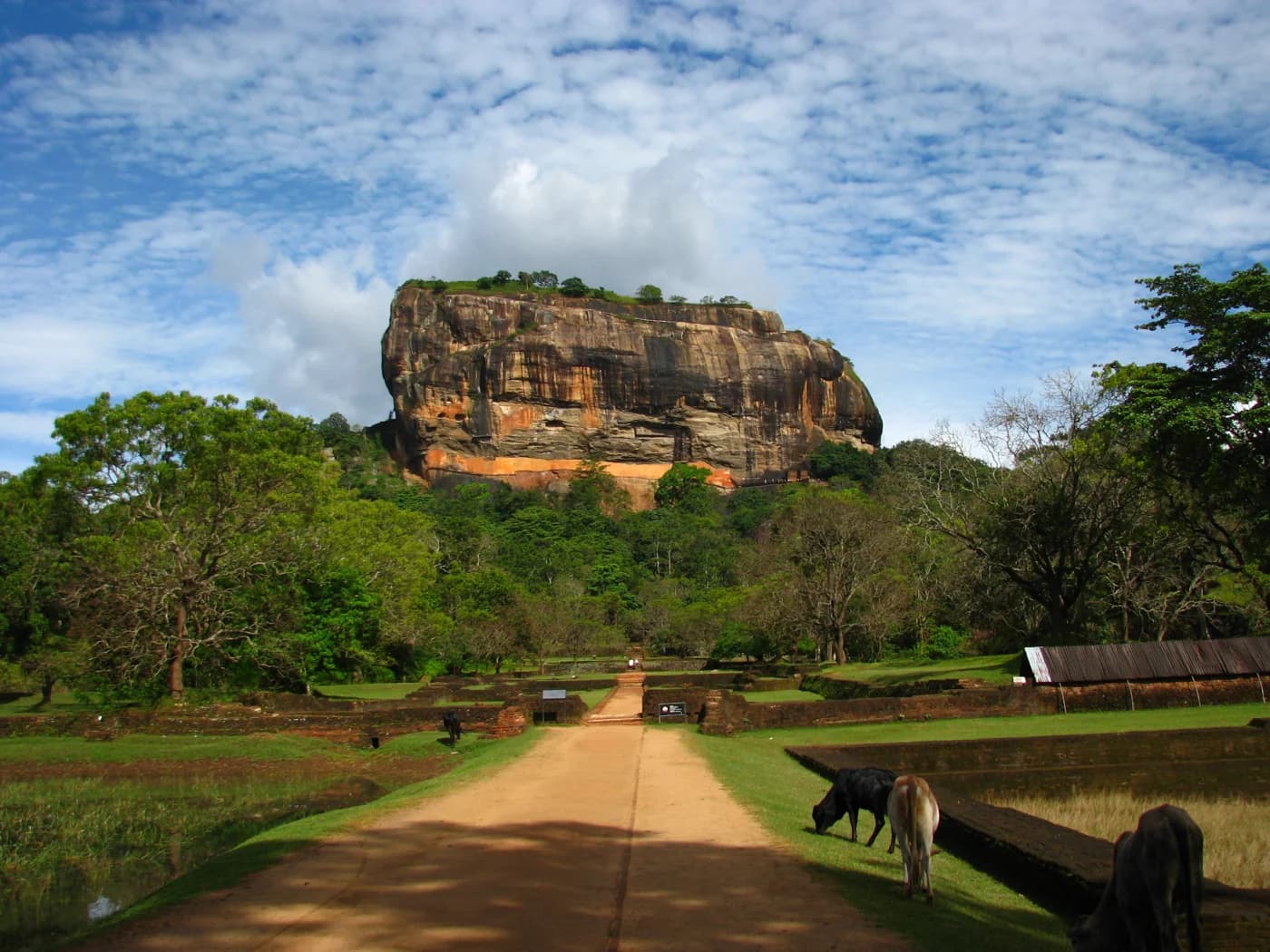 The ancient rock fortress of Sigiriya surrounded by lush Sri Lankan forest