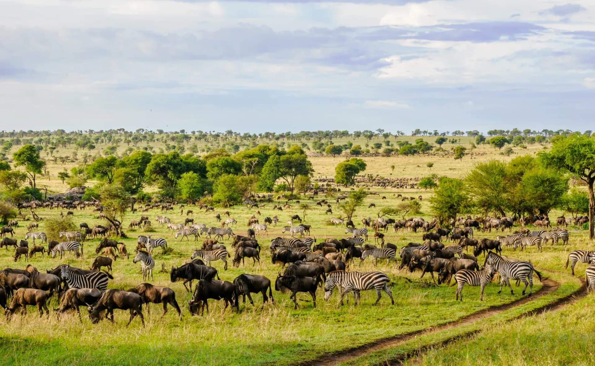 4-Day Luxury Masai Mara, Lake Naivasha Safari