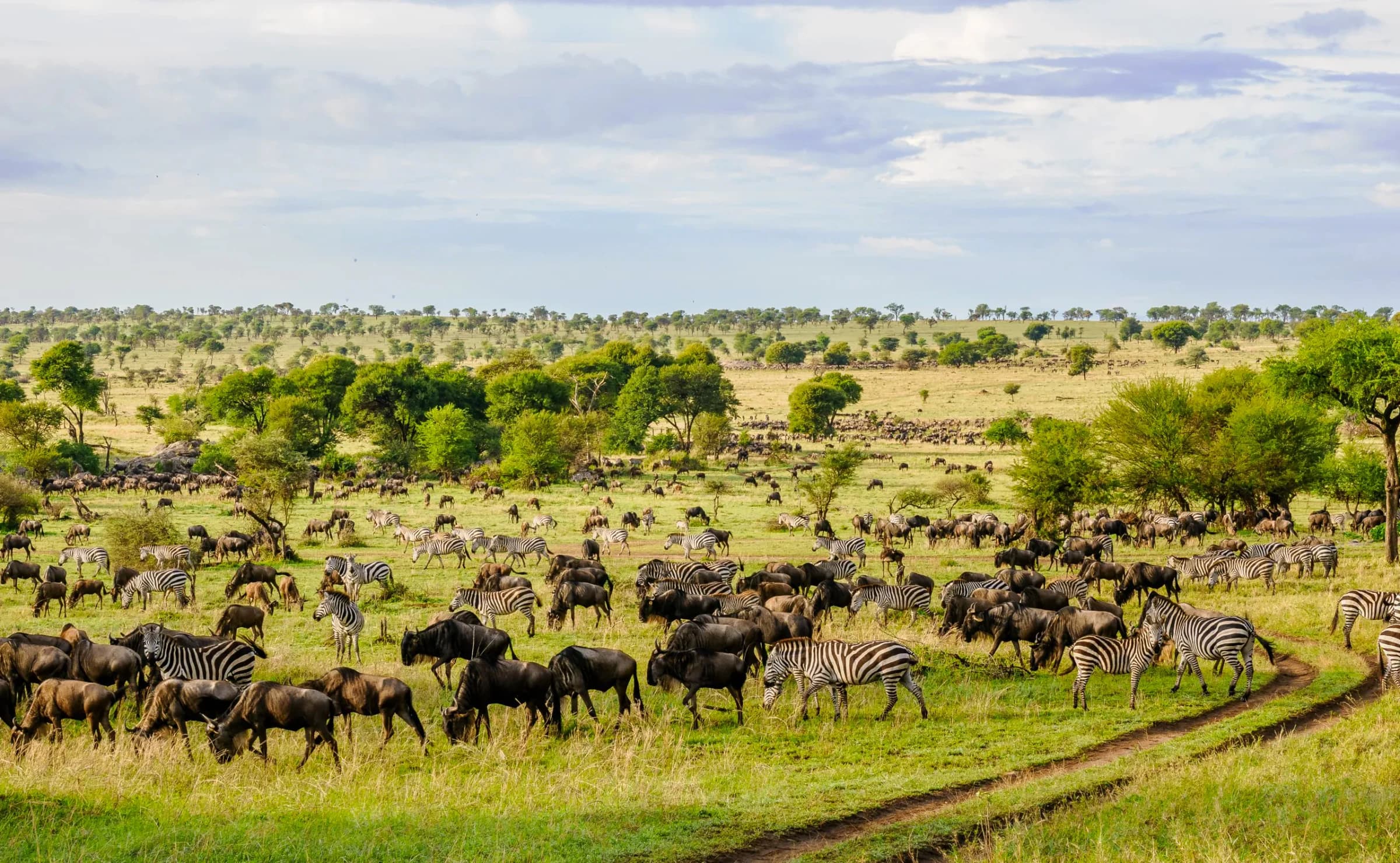 4-Day Luxury Masai Mara, Lake Naivasha Safari