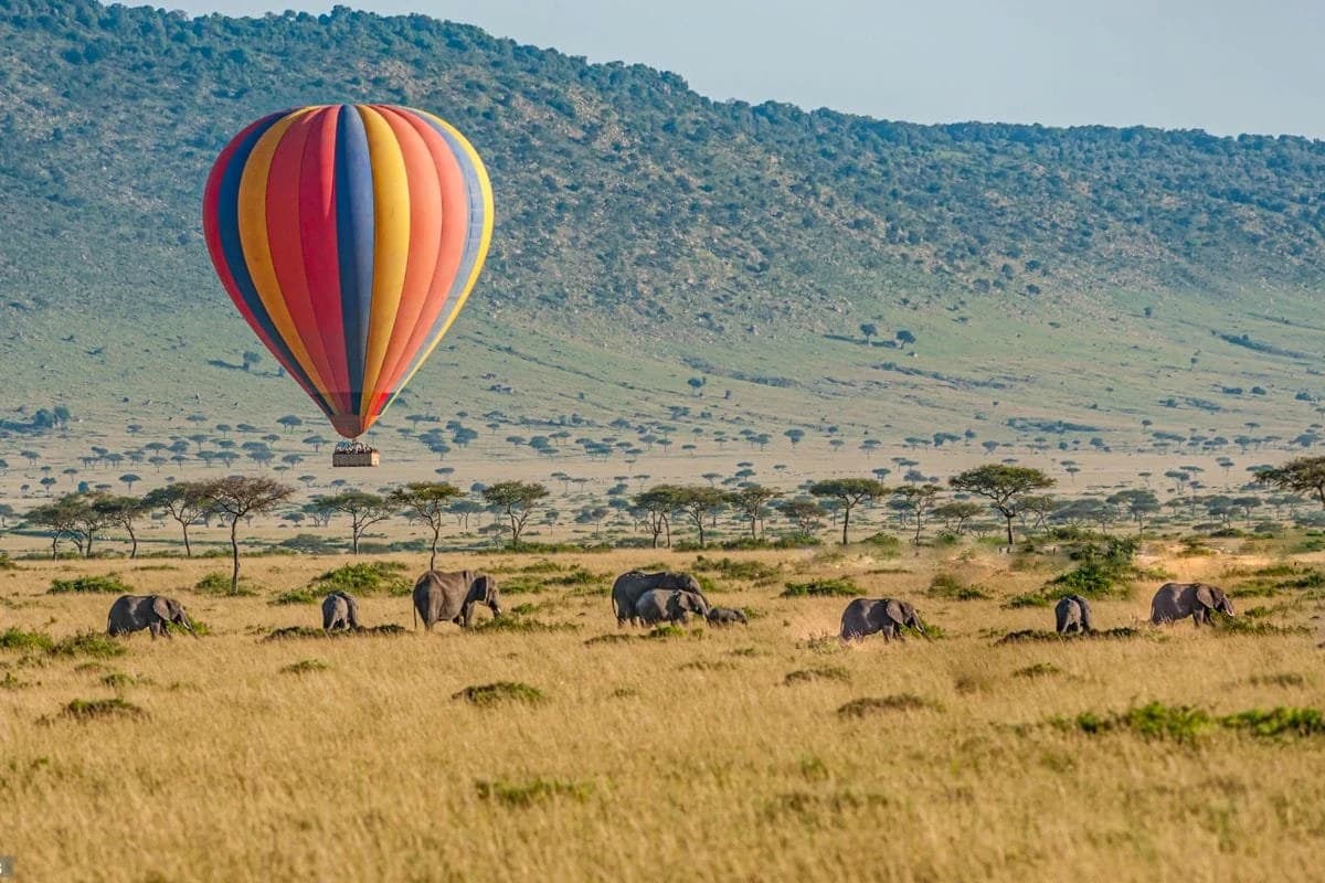 6-Day Amboseli, Lake Nakuru Masai Mara Adventure