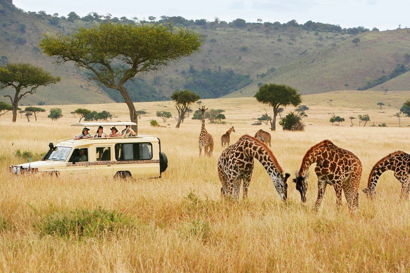 7-Day Magical Kenya Budget Safari (Amboseli, Naivasha, Nakuru & Masai Mara)