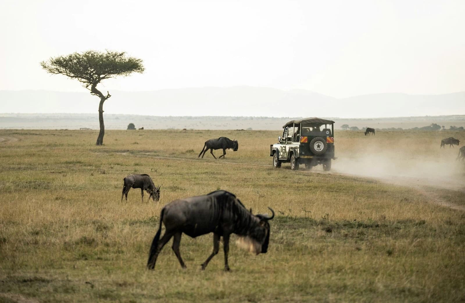 7-Day Masai Mara, Amboseli, Naivasha, Hell’s Gate, Nakuru